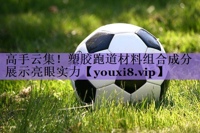高手云集!塑胶跑道材料组合成分展示亮眼实力