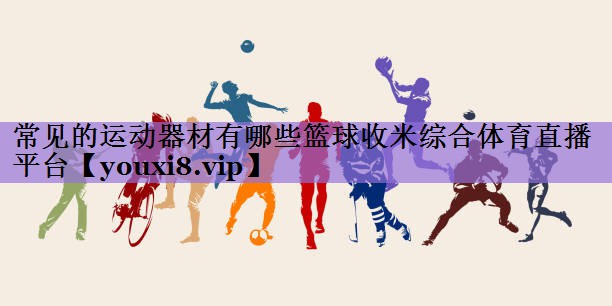 常见的运动器材有哪些篮球收米综合体育直播平台