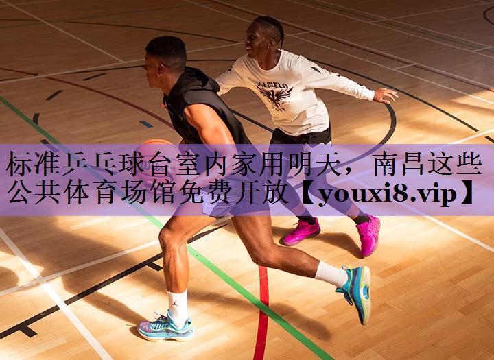 标准乒乓球台室内家用明天,南昌这些公共体育场馆免费开放