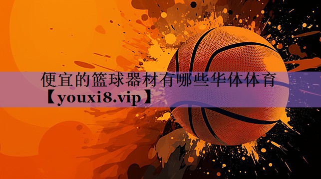 便宜的篮球器材有哪些华体体育