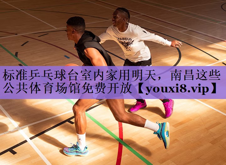 标准乒乓球台室内家用明天,南昌这些公共体育场馆免费开放