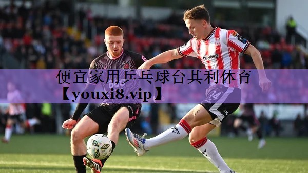 便宜家用乒乓球台其利体育