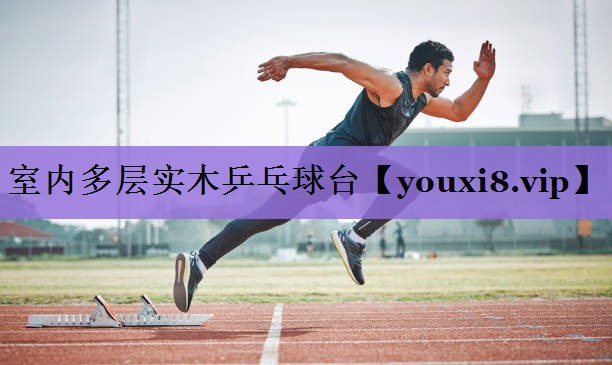 室内多层实木乒乓球台