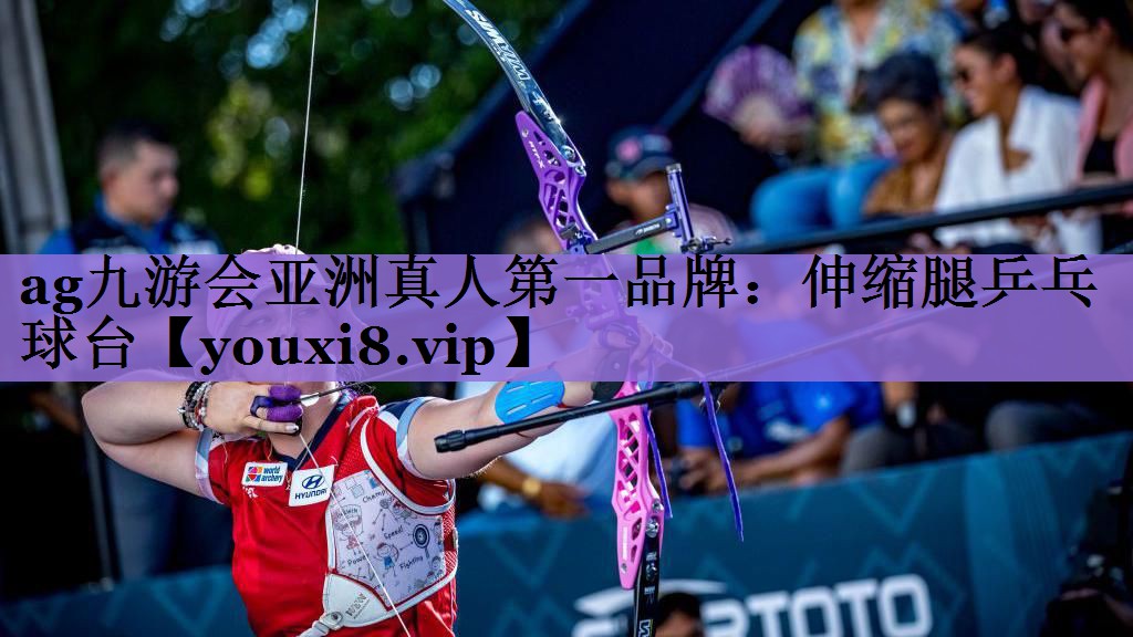 伸缩腿乒乓球台