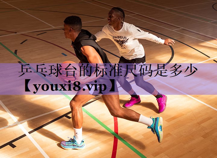 乒乓球台的标准尺码是多少